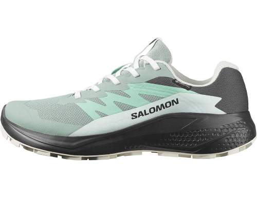 Salomon ALPHAGLIDE GTX W, Green M Asphalt-Clearly Aqua