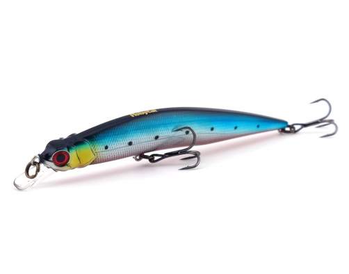 Fishycat LIBYCA 110SP / R25