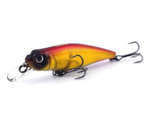 Fishycat TOMCAT 67SP-SR / R15