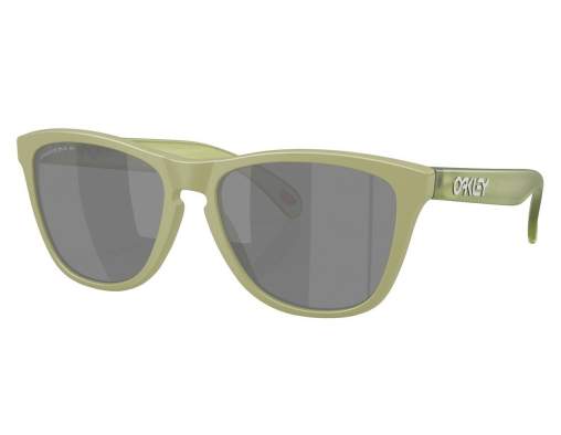 Купить Oakley FROGSKINS MATTE FERN, PRIZM BLACK POLAR Oakley FROGSKINS MATTE FERN, PRIZM BLACK POLAR