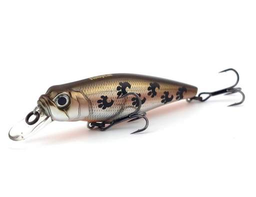 Fishycat TOMCAT 67SP-SR / X06