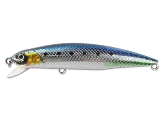 Fishycat TIGERCUB 170F / R05