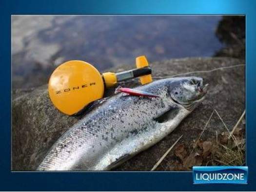 Электронный заглубитель Zoner