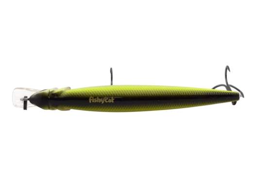 Fishycat LIBYCA 75SP / R23