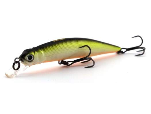 Fishycat LIBYCA 75SP / R23