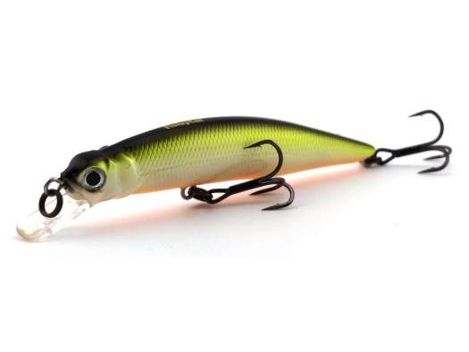 Fishycat LIBYCA 75SP / R23
