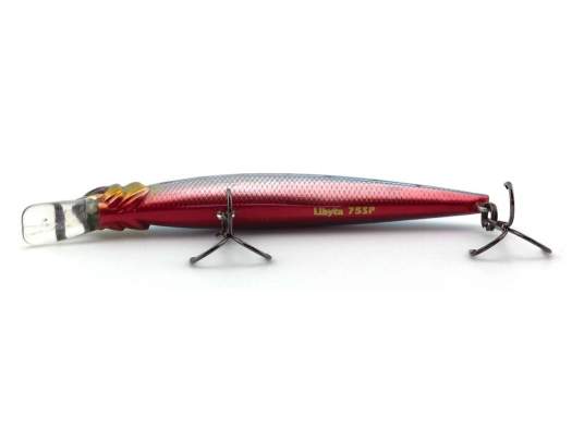 Fishycat LIBYCA 75SP / R25