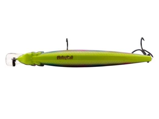 Fishycat LIBYCA 75SP / R26