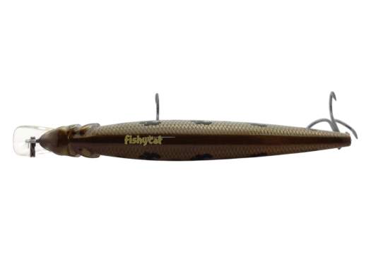 Fishycat LIBYCA 75SP / X06