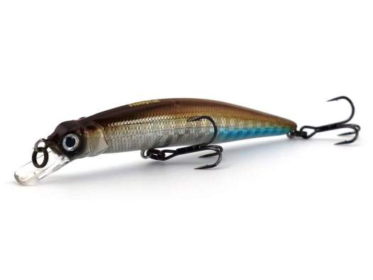 Fishycat LIBYCA 75SP / R09