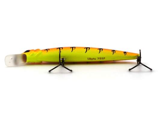 Fishycat LIBYCA 75SP / X13