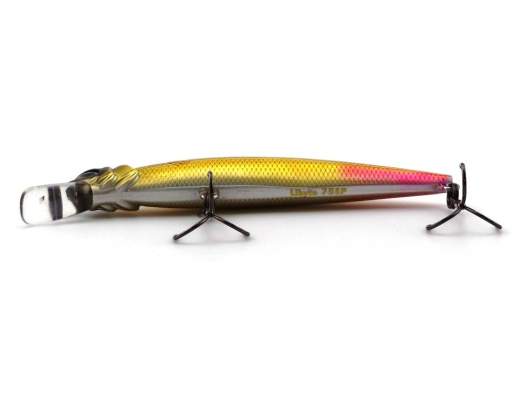 Fishycat LIBYCA 75SP / R15
