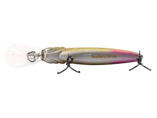 Fishycat TOMCAT 67SP-DR / R15