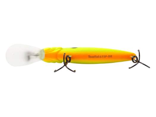 Fishycat TOMCAT 67SP-DR / R17