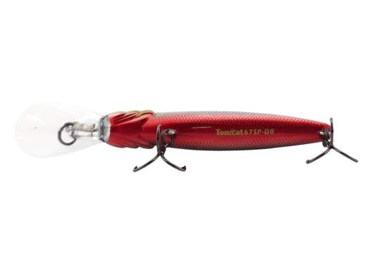 Fishycat TOMCAT 67SP-DR / R25