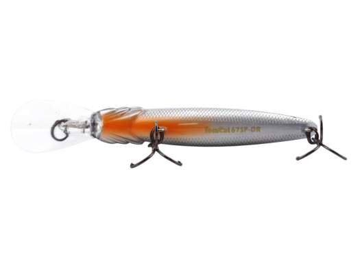 Fishycat TOMCAT 67SP-DR / R10