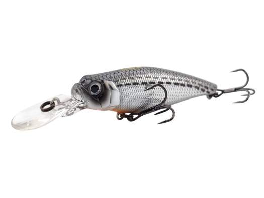 Fishycat TOMCAT 67SP-DR / R10