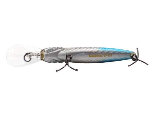 Fishycat TOMCAT 67SP-DR / R09