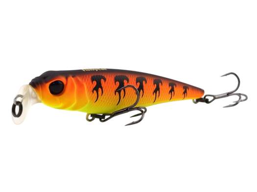 Fishycat TOMCAT 80F-SSR / X13