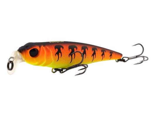 Fishycat TOMCAT 80F-SSR / X13