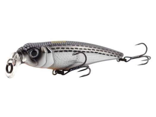 Fishycat TOMCAT 80F-SSR / R10