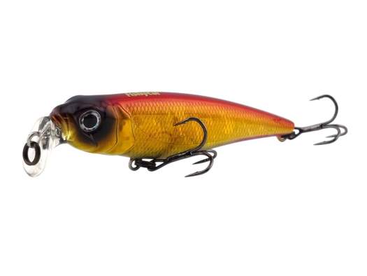 Fishycat TOMCAT 80F-SSR / R15