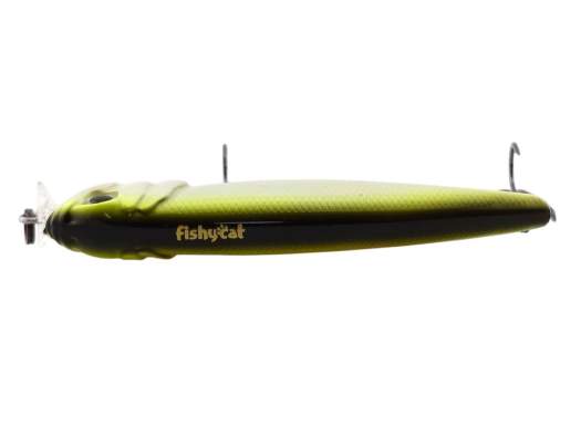 Fishycat TOMCAT 80F-SSR / R23