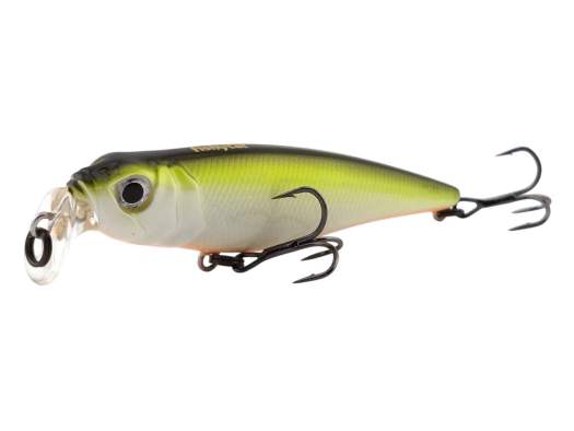 Fishycat TOMCAT 80F-SSR / R23