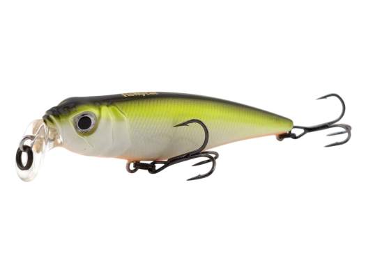 Fishycat TOMCAT 80F-SSR / R23