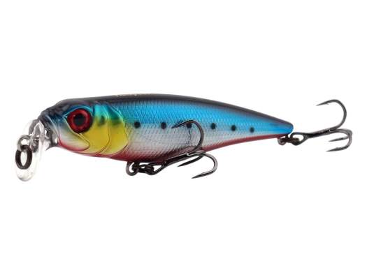 Fishycat TOMCAT 80F-SSR / R25
