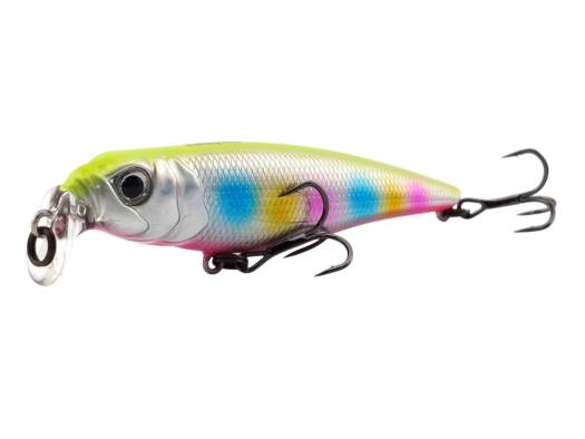 Fishycat TOMCAT 80F-SSR / R26