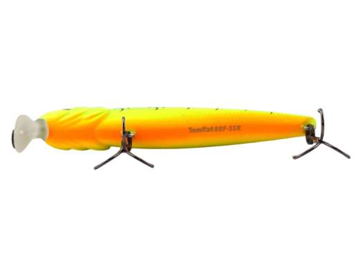 Fishycat TOMCAT 80F-SSR / X03