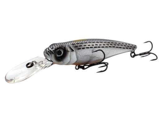 Fishycat TOMCAT 80SP-DR / R10