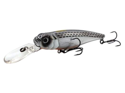 Fishycat TOMCAT 80SP-DR / R10