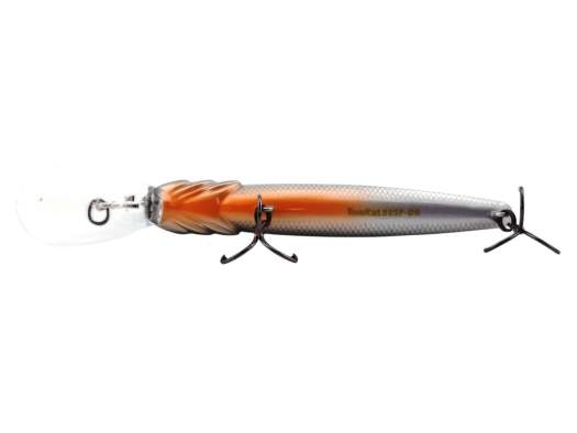 Fishycat TOMCAT 80SP-DR / R10