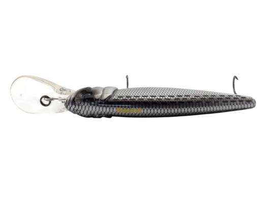 Fishycat TOMCAT 80SP-DR / R10