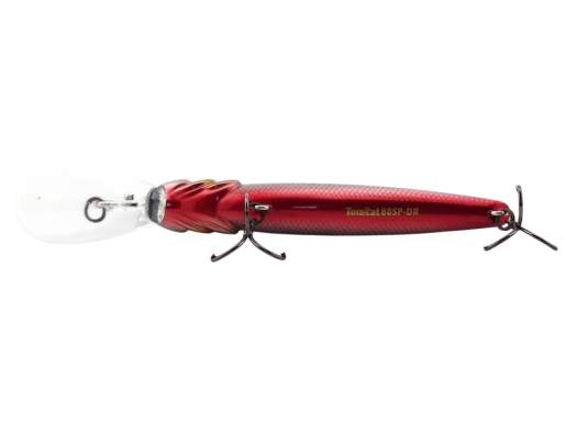Fishycat TOMCAT 80SP-DR / R25