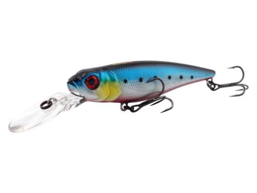 Fishycat TOMCAT 80SP-DR / R25