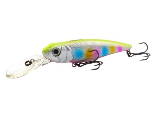 Fishycat TOMCAT 80SP-DR / R26