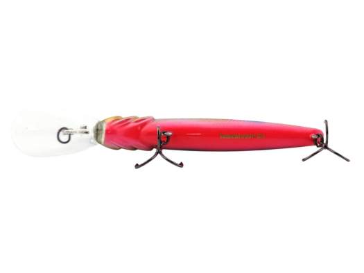 Fishycat TOMCAT 80SP-DR / R27