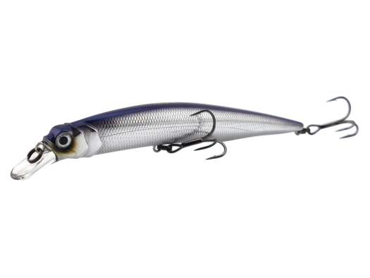 Fishycat OCELOT 125SP / R01