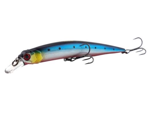 Fishycat OCELOT 125SP / R25