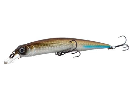 Fishycat OCELOT 125SP / R09
