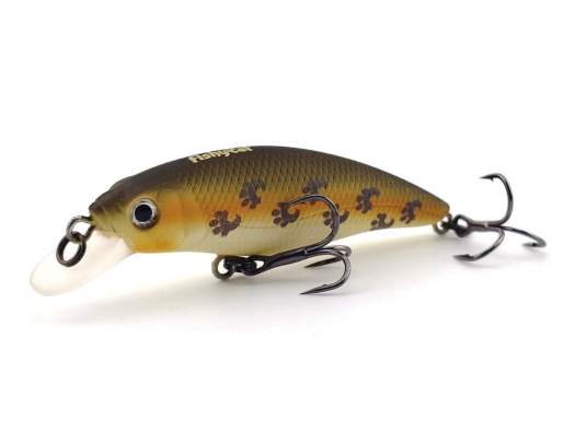 Купить Fishycat STRAYCAT 55F / X08 Fishycat STRAYCAT 55F / X08