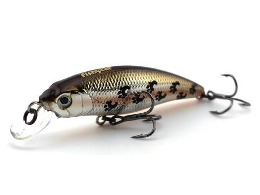 Купить Fishycat STRAYCAT 55S / X06 Fishycat STRAYCAT 55S / X06
