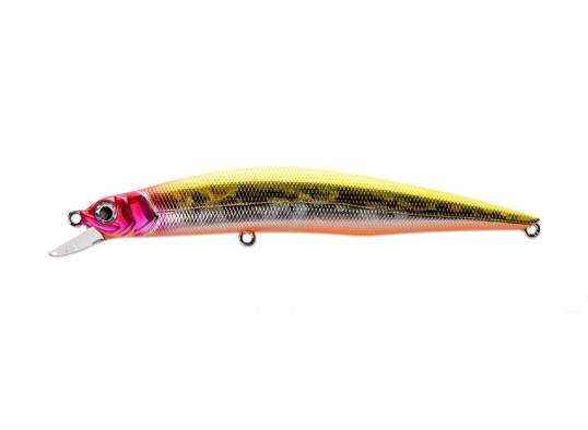 Fishycat LIBYCA 110SP / R21