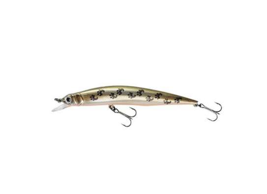 Fishycat LIBYCA 110SP / X06