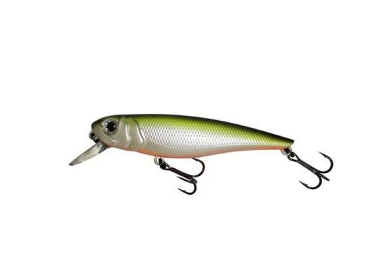 Fishycat TOMCAT 80SP-SR / R23