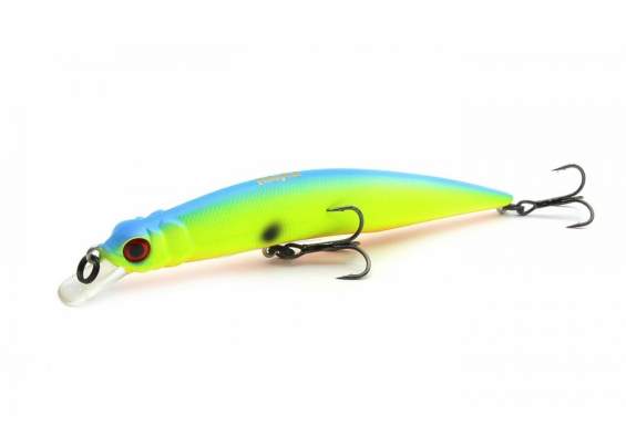 Fishycat LIBYCA 110SP / R17