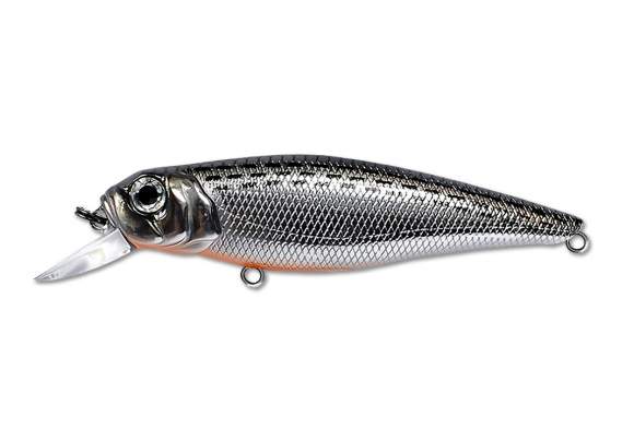 Fishycat TOMCAT 67SP-SR / R10
